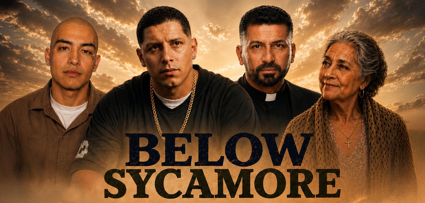 Below Sycamore