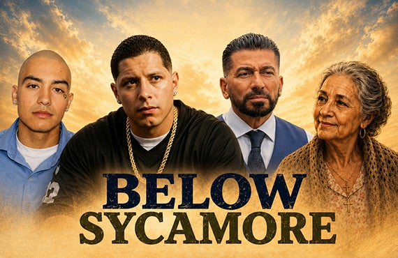 More Info for Below Sycamore