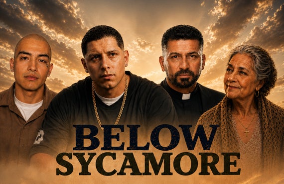 More Info for Below Sycamore