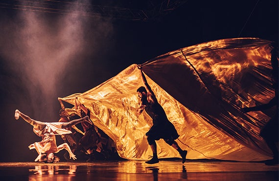 More Info for Compagnie Hervé KOUBI