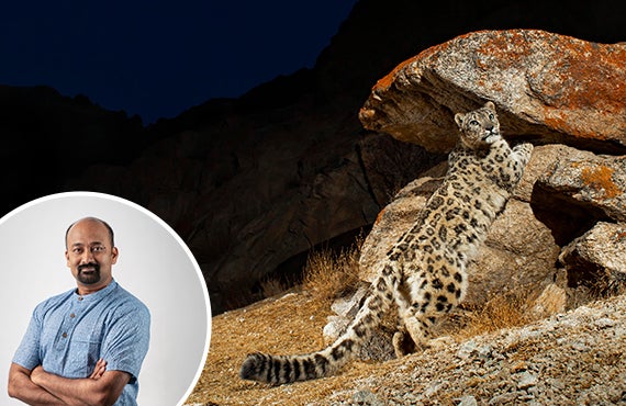 More Info for National Geographic Live: Wild Cats Revealed! 